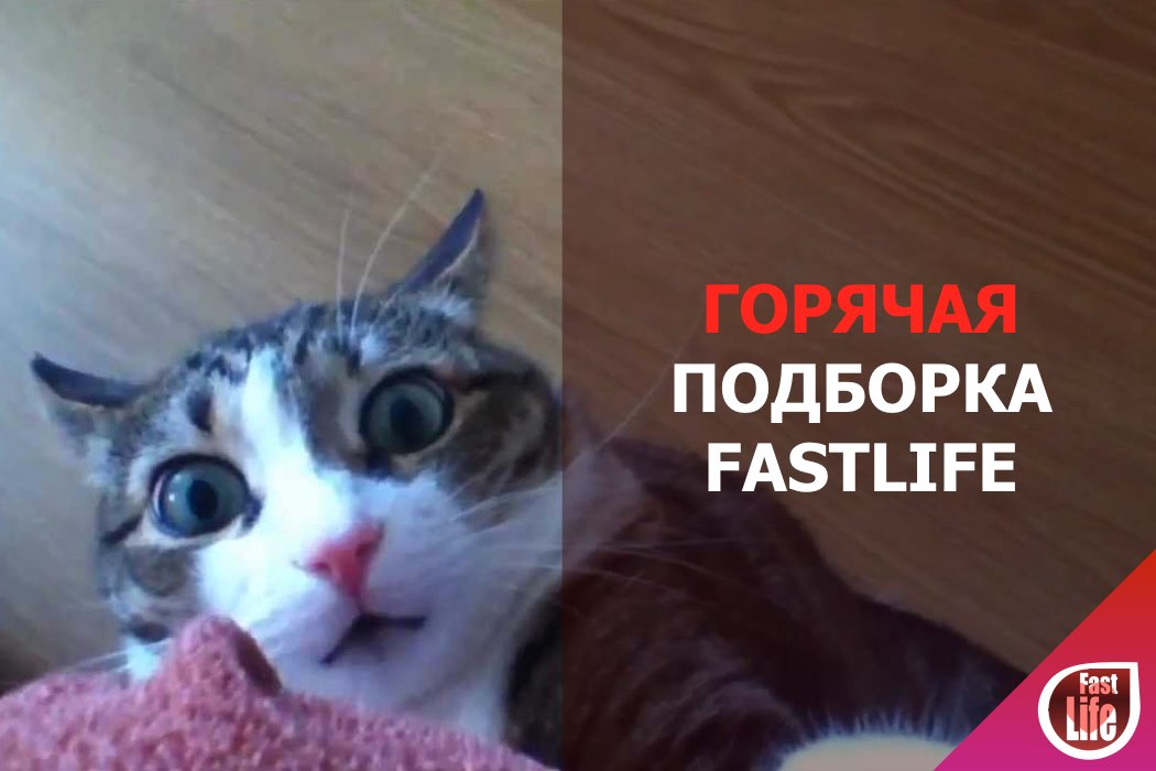 Горячая подборка от FastLife!