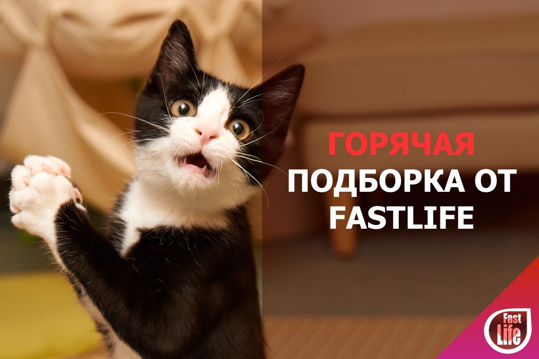 Горячая подборка комментариев с быстрых свиданий! Часть 3.