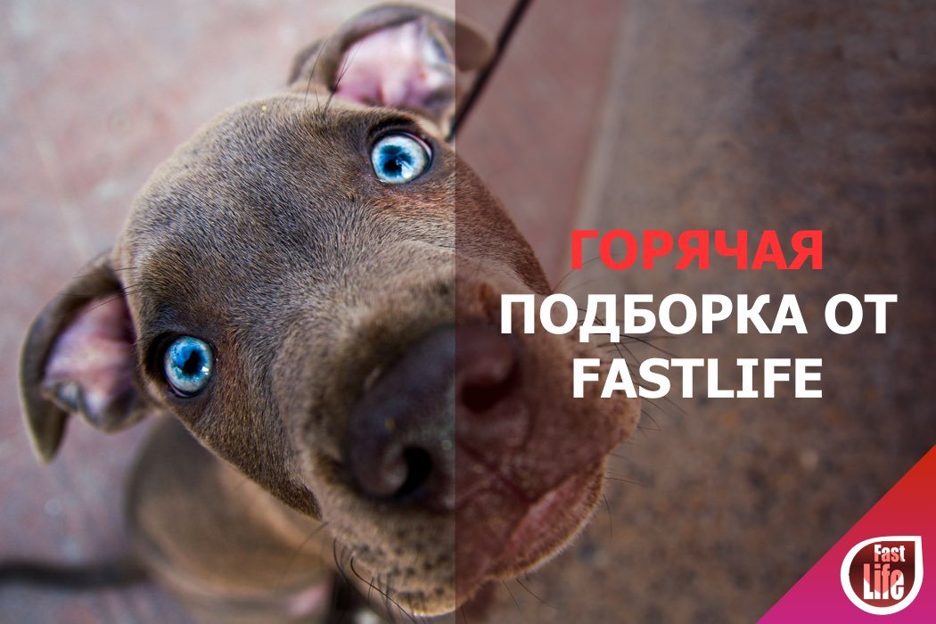 Горячая подборка комментариев с быстрых свиданий!