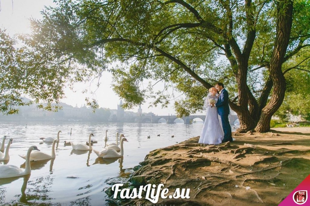 fastlife, speed dating