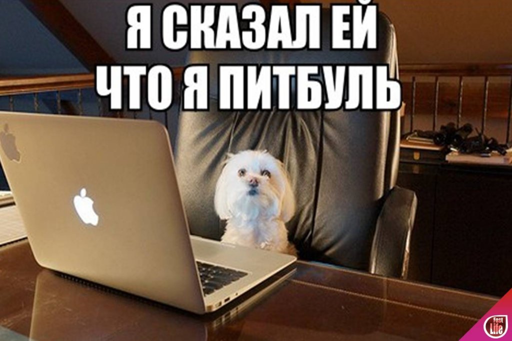 Знакомства с иностранцами: пан и пропал?