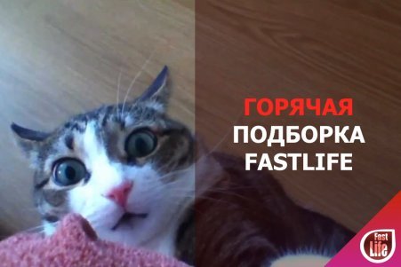 Горячая подборка от FastLife!