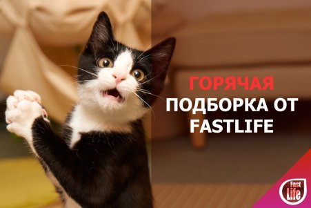 Горячая подборка комментариев с быстрых свиданий! Часть 3.
